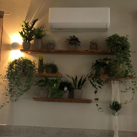 Agriturismo S'Ispiga Cuglieri Dış mekan fotoğraf
