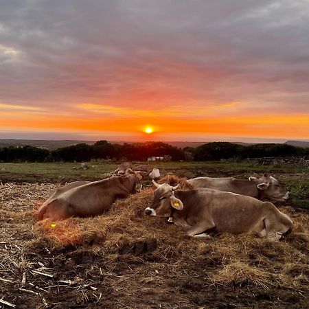 Agriturismo S'Ispiga Cuglieri Dış mekan fotoğraf