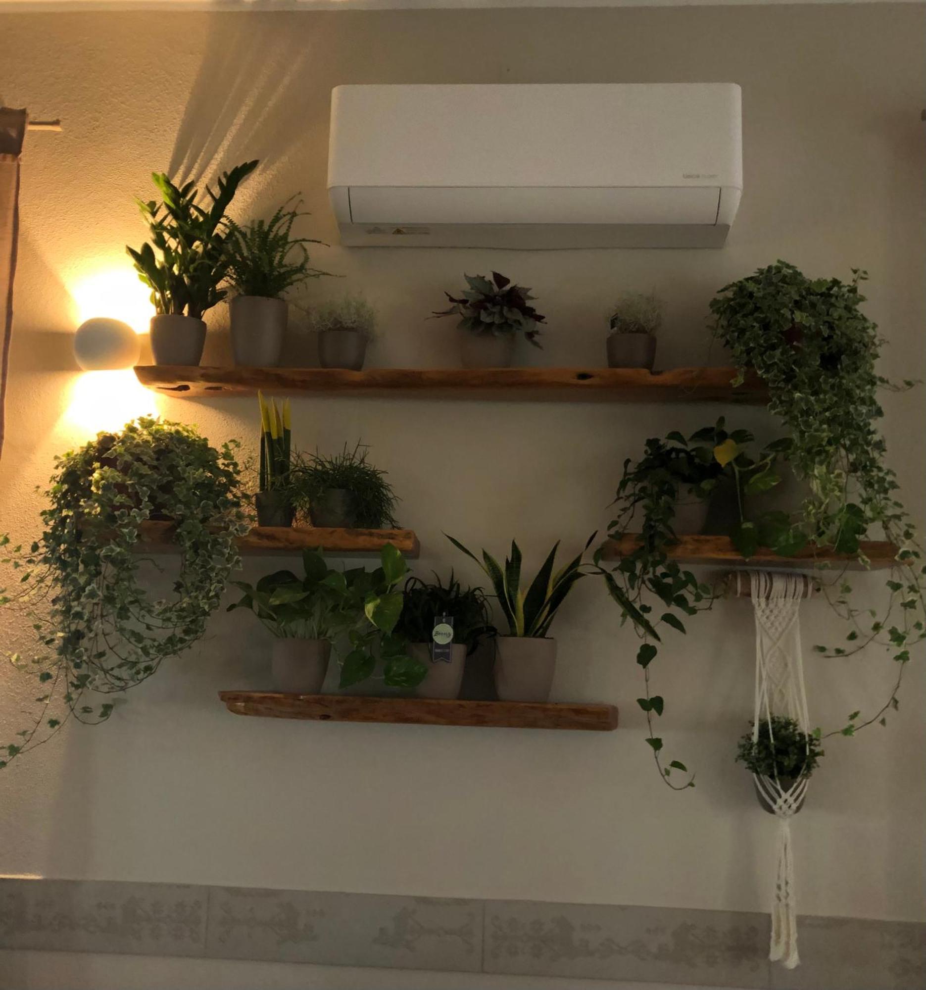 Agriturismo S'Ispiga Cuglieri Dış mekan fotoğraf