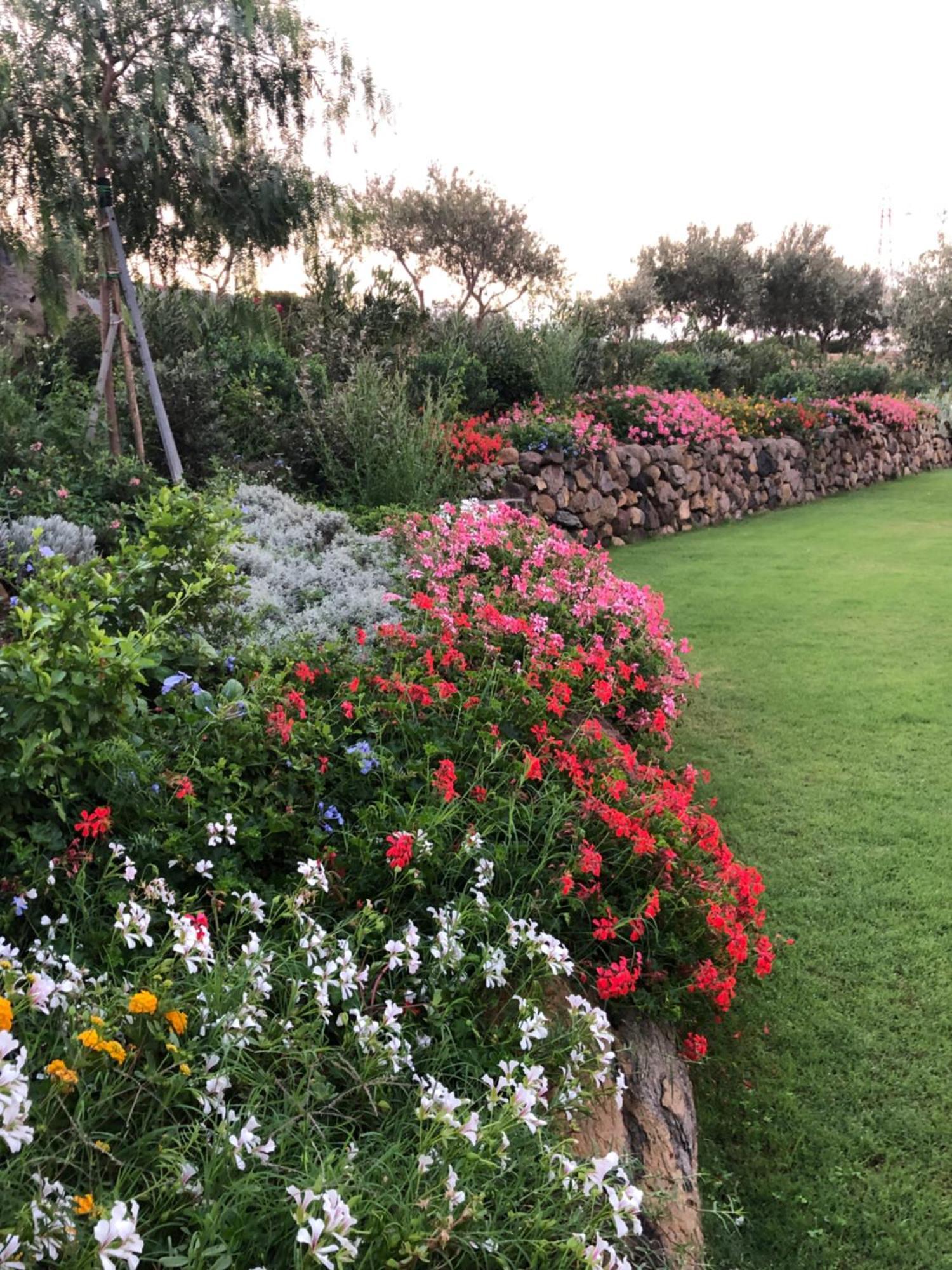 Agriturismo S'Ispiga Cuglieri Dış mekan fotoğraf